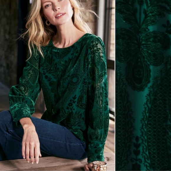 Soft Surroundings Vanetta Velvet Top Size XS - Picture 1 of 8